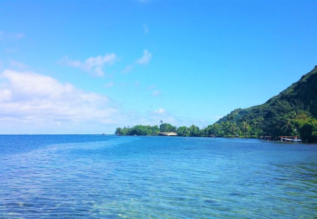 Country house in Papara - TAHITI - Domaine Tiamao Country house in Papara - TAHITI - Domaine Tiamao