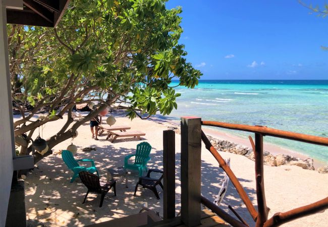Rent by room in Tuherahera - TIKEHAU - Hina Blue Room  Rent by room in Tuherahera - TIKEHAU - Hina Blue Room