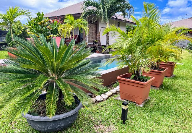 Bungalow in Taravao - TAHITI - Fare Matavai Piti Bungalow in Taravao - TAHITI - Fare Matavai Piti