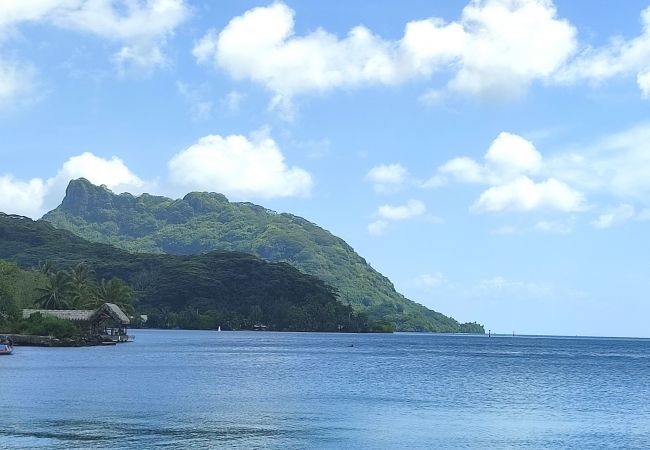 House in Huahine-Nui - HUAHINE - Fare Teakavehere Tipanier + rental car House in Huahine-Nui - HUAHINE - Fare Teakavehere Tipanier + rental car