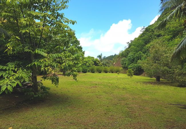 House in Huahine-Nui - HUAHINE - Fare Teakavehere Tipanier + rental car House in Huahine-Nui - HUAHINE - Fare Teakavehere Tipanier + rental car