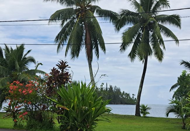 Rent by room in Teva I Uta - TAHITI - Mataiea BnB Rent by room in Teva I Uta - TAHITI - Mataiea BnB