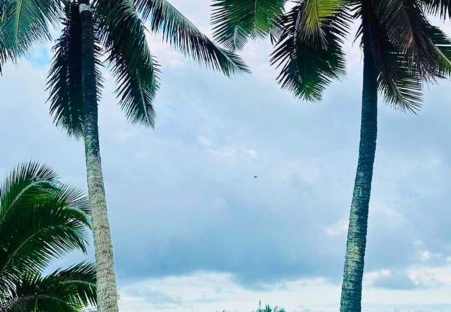 Rent by room in Teva I Uta - TAHITI - Mataiea BnB Rent by room in Teva I Uta - TAHITI - Mataiea BnB