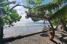 House in Taiarapu-Est - TAHITI - Motu Nono Beach View