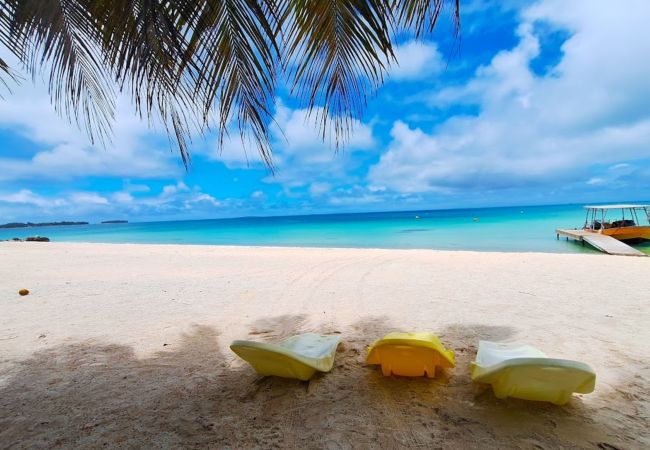 Rent by room in Tikehau - TIKEHAU - Bungalow Pacific Beach 2 Rent by room in Tikehau - TIKEHAU - Bungalow Pacific Beach 2
