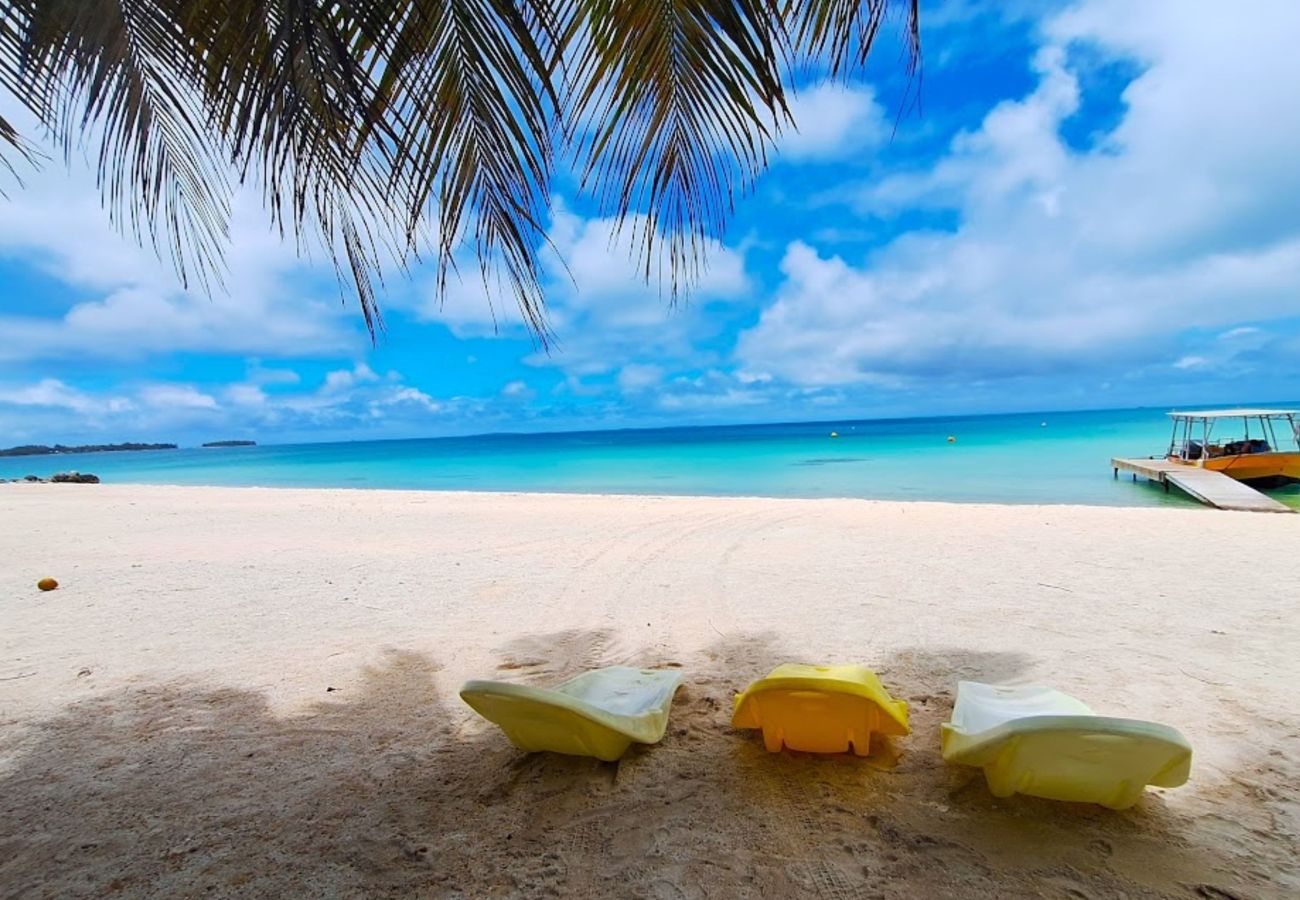 Rent by room in Tikehau - TIKEHAU - Bungalow Pacific Beach 2 Rent by room in Tikehau - TIKEHAU - Bungalow Pacific Beach 2
