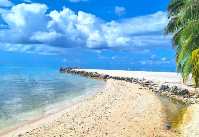 Rent by room in Tikehau - TIKEHAU - Bungalow Pacific Beach 3 Rent by room in Tikehau - TIKEHAU - Bungalow Pacific Beach 3
