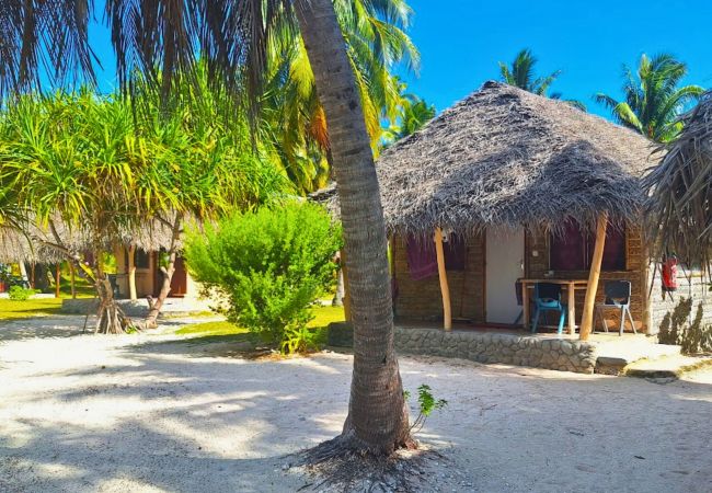 Rent by room in Tikehau - TIKEHAU - Bungalow Pacific Beach 3 Rent by room in Tikehau - TIKEHAU - Bungalow Pacific Beach 3