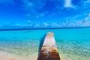 Rent by room in Tikehau - TIKEHAU - Bungalow Pacific Beach 3 Rent by room in Tikehau - TIKEHAU - Bungalow Pacific Beach 3
