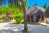 Rent by room in Tikehau - TIKEHAU - Bungalow Pacific Beach 3 Rent by room in Tikehau - TIKEHAU - Bungalow Pacific Beach 3