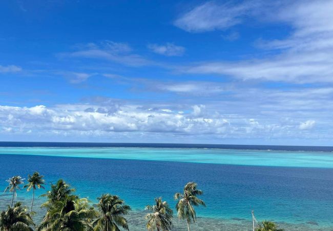 House in Huahine-Nui - Huahine - Maroetini Lodge  House in Huahine-Nui - Huahine - Maroetini Lodge