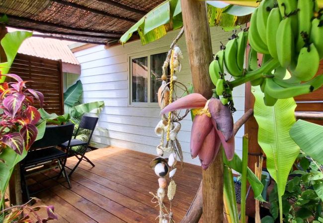 Studio in Hauru - MOOREA - Studio Natura Cosy  Studio in Hauru - MOOREA - Studio Natura Cosy