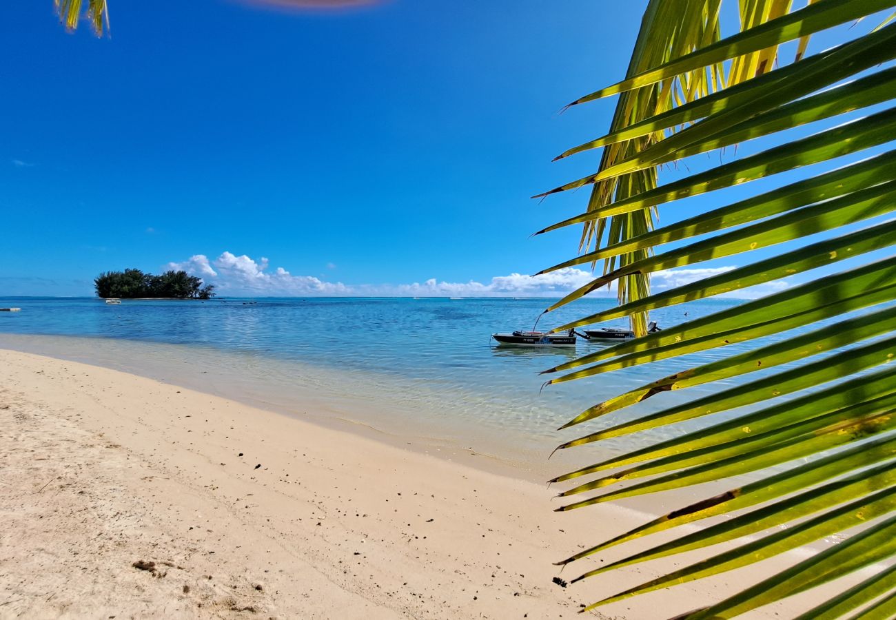 Bungalow in Hauru - MOOREA - Bungalow Fenua Bungalow in Hauru - MOOREA - Bungalow Fenua