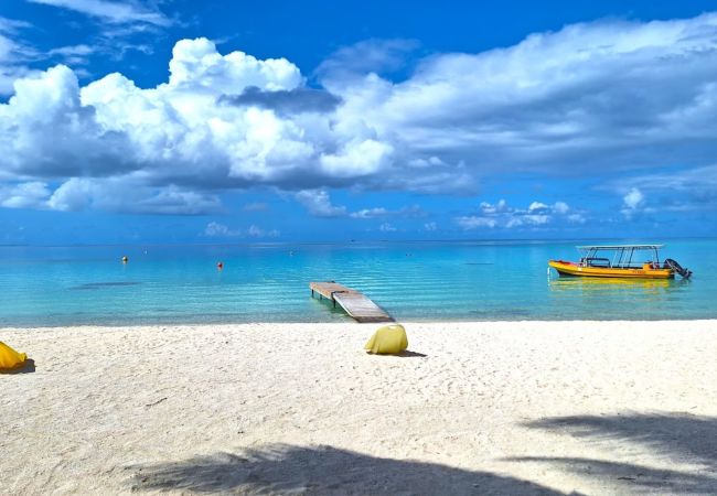 Rent by room in Tikehau - TIKEHAU - Bungalow Pacific Beach Family  Rent by room in Tikehau - TIKEHAU - Bungalow Pacific Beach Family