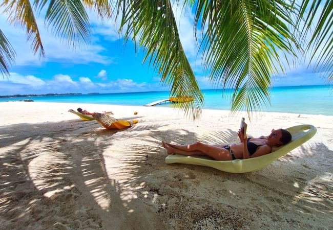 Rent by room in Tikehau - TIKEHAU - Bungalow Pacific Beach Family  Rent by room in Tikehau - TIKEHAU - Bungalow Pacific Beach Family