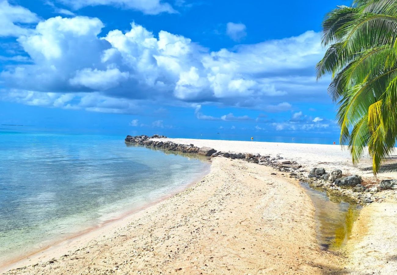 Rent by room in Tikehau - TIKEHAU - Bungalow Pacific Beach Family  Rent by room in Tikehau - TIKEHAU - Bungalow Pacific Beach Family