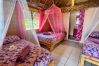 Rent by room in Tikehau - TIKEHAU - Bungalow Pacific Beach Family  Rent by room in Tikehau - TIKEHAU - Bungalow Pacific Beach Family
