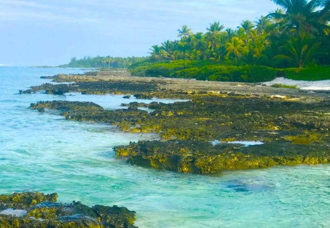Bungalow in Hipu - TAHAA - Motu Lodge Moana Bungalow in Hipu - TAHAA - Motu Lodge Moana