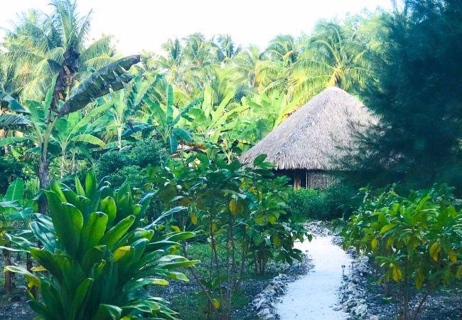 Bungalow in Hipu - TAHAA - Motu Lodge Maohi  Bungalow in Hipu - TAHAA - Motu Lodge Maohi