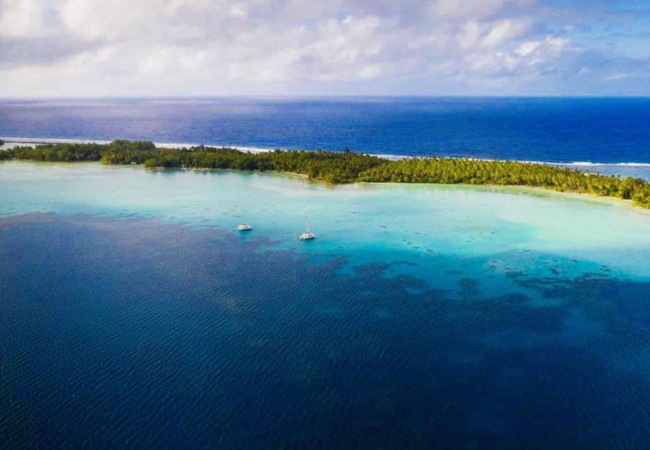 Bungalow in Hipu - TAHAA - Motu Lodge Maohi 