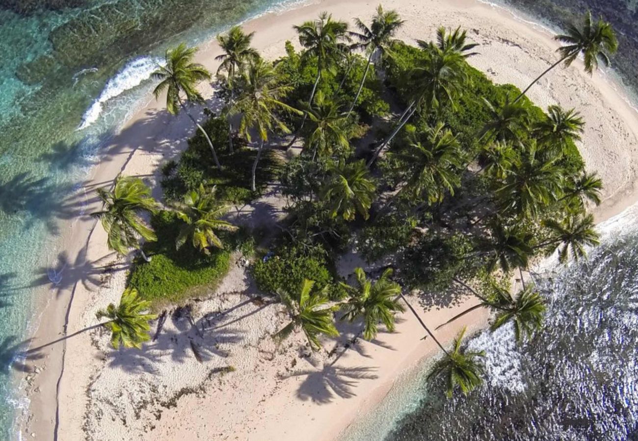 Bungalow in Afaahiti - TAHITI ITI - Bungalow Horue Sea View  Bungalow in Afaahiti - TAHITI ITI - Bungalow Horue Sea View