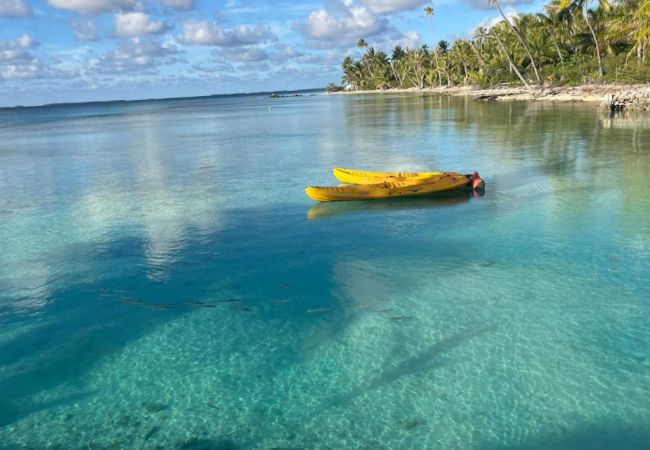 House in Manihi - MANIHI - Manihi Pool Lodge House in Manihi - MANIHI - Manihi Pool Lodge
