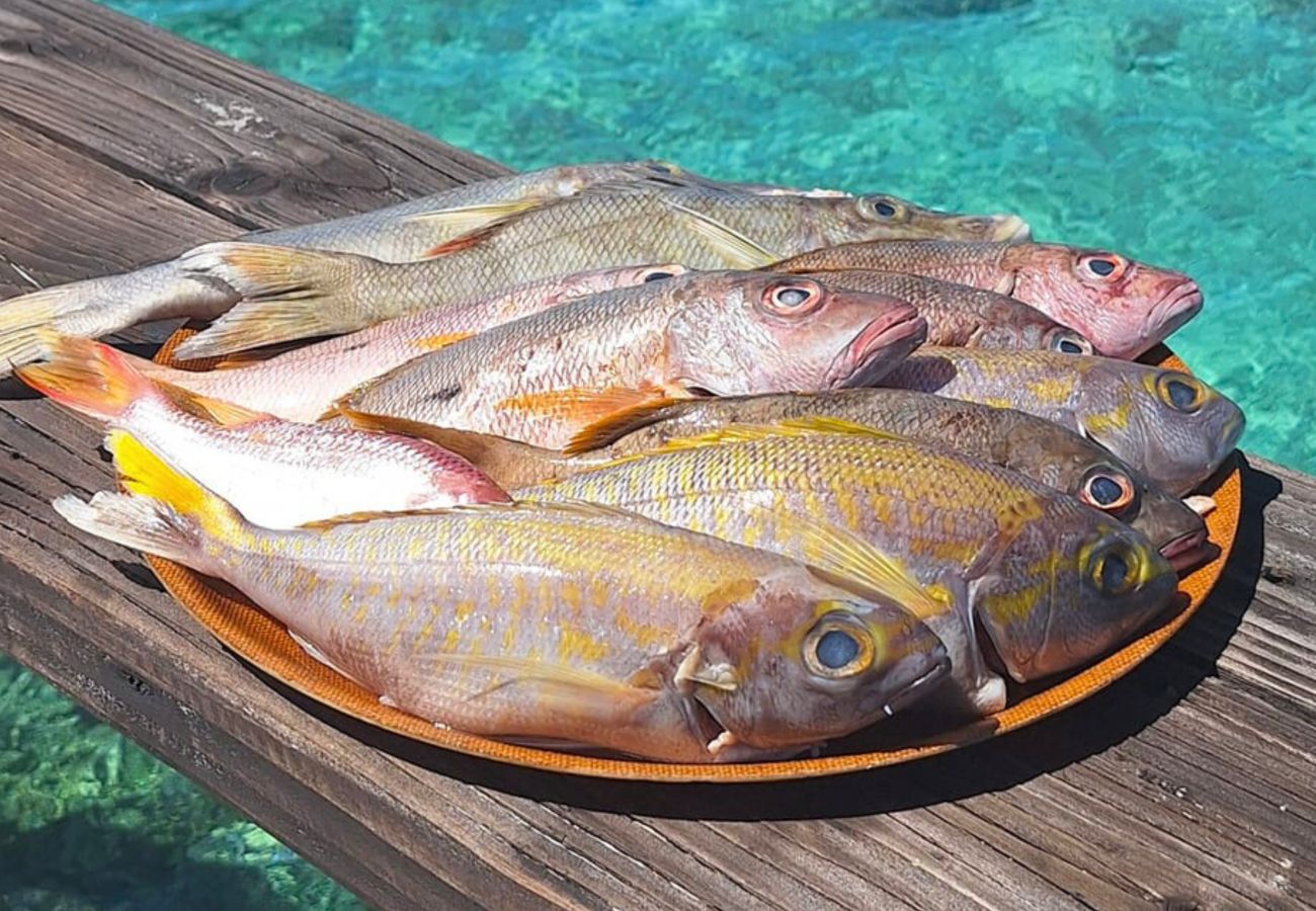 House in Manihi - MANIHI - Miki Lagoon Bungalow House in Manihi - MANIHI - Miki Lagoon Bungalow
