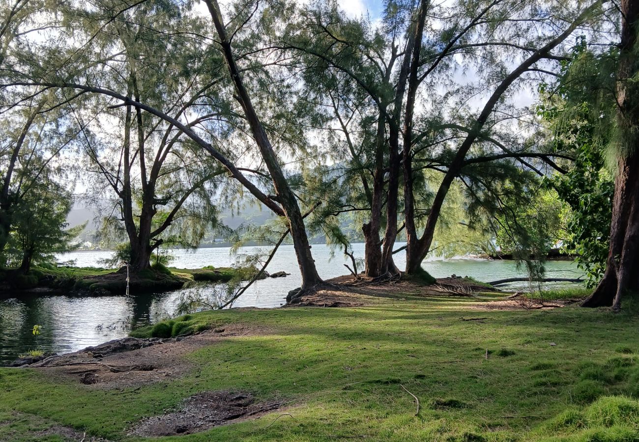House in Taiarapu-Ouest - TAHITI ITI - Fare Pihiti Spot  House in Taiarapu-Ouest - TAHITI ITI - Fare Pihiti Spot