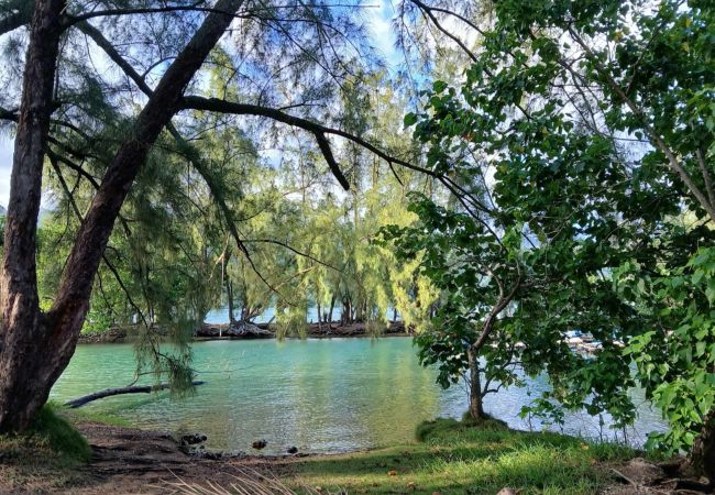House in Taiarapu-Ouest - TAHITI ITI - Fare Komako Spot  House in Taiarapu-Ouest - TAHITI ITI - Fare Komako Spot