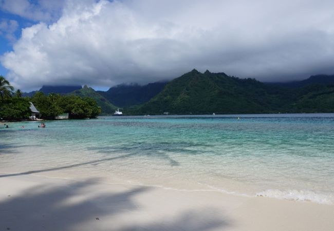 House in Papetoai - MOOREA - Fare Moohono Tohora House in Papetoai - MOOREA - Fare Moohono Tohora
