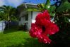 House in Papetoai - MOOREA - Fare Moohono Tohora House in Papetoai - MOOREA - Fare Moohono Tohora