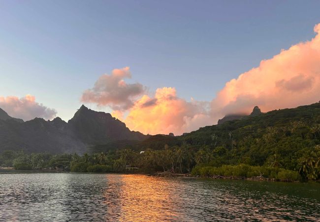 Studio in Haapiti - MOOREA - Bungalow Nauhei Surf Spot 1  Studio in Haapiti - MOOREA - Bungalow Nauhei Surf Spot 1