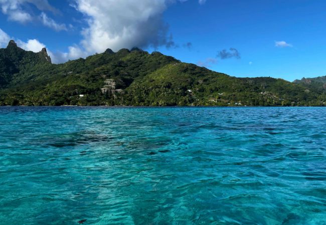 Studio in Haapiti - MOOREA - Bungalow Nauhei Surf Spot 1  Studio in Haapiti - MOOREA - Bungalow Nauhei Surf Spot 1