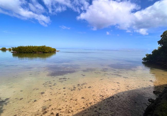 Studio in Haapiti - MOOREA - Bungalow Nauhei Surf Spot 2 Studio in Haapiti - MOOREA - Bungalow Nauhei Surf Spot 2