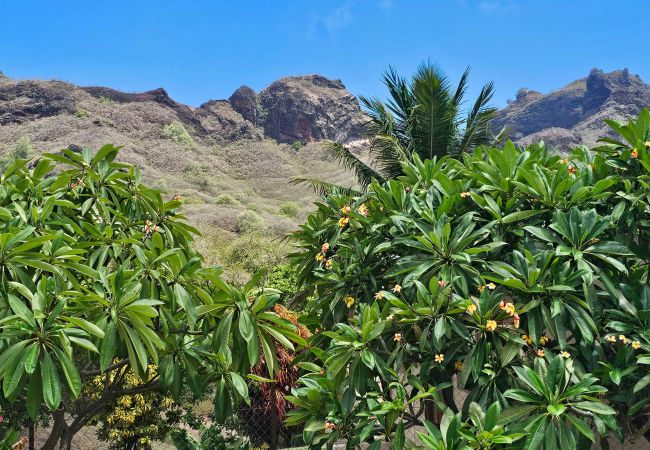 Rent by room in Taiohae - NUKU HIVA - Taiohae Bay Room  1  Rent by room in Taiohae - NUKU HIVA - Taiohae Bay Room  1