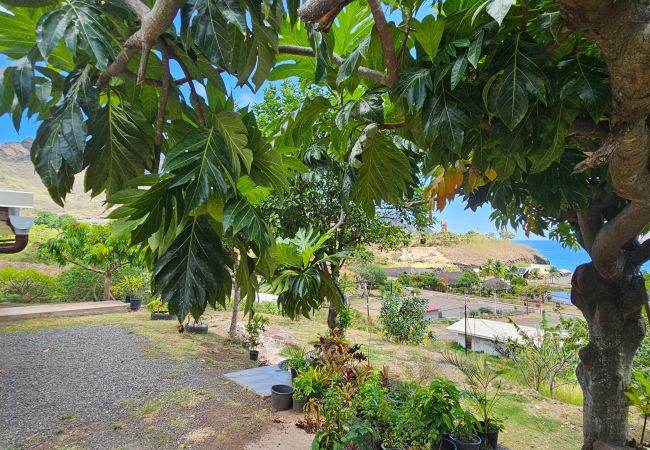 Rent by room in Taiohae - NUKU HIVA - Taiohae Bay Room  1  Rent by room in Taiohae - NUKU HIVA - Taiohae Bay Room  1