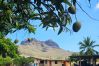 Rent by room in Taiohae - NUKU HIVA - Taiohae Bay Room  1  Rent by room in Taiohae - NUKU HIVA - Taiohae Bay Room  1