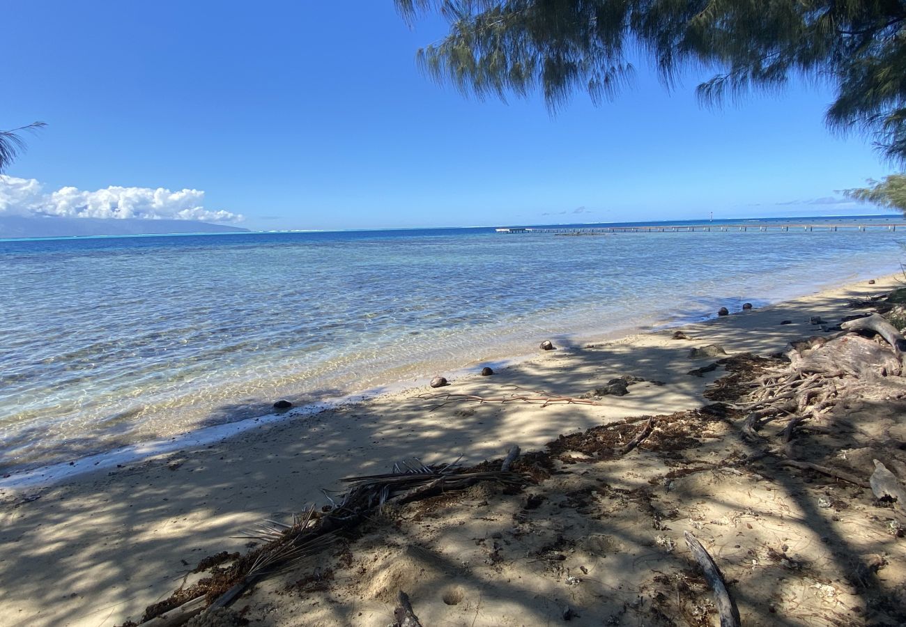 Bungalow in Maatea - MOOREA - Naku Kahi Bungalow 4 BeachView