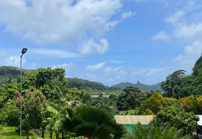 Studio in Huahine-Nui - HUAHINE-FISH LODGE Studio in Huahine-Nui - HUAHINE-FISH LODGE