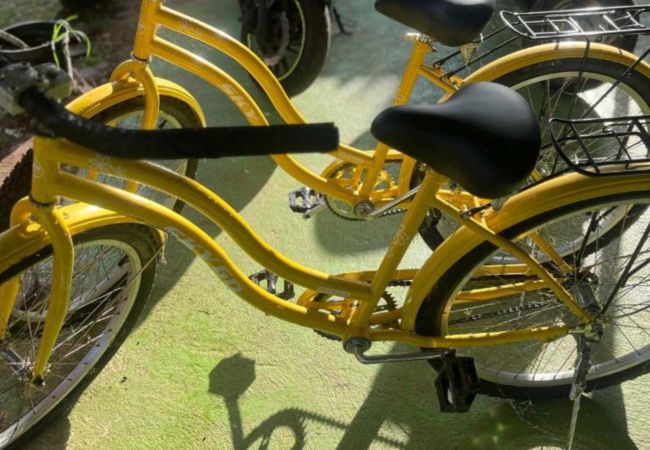 Studio in Huahine-Nui - HUAHINE-FISH LODGE Studio in Huahine-Nui - HUAHINE-FISH LODGE