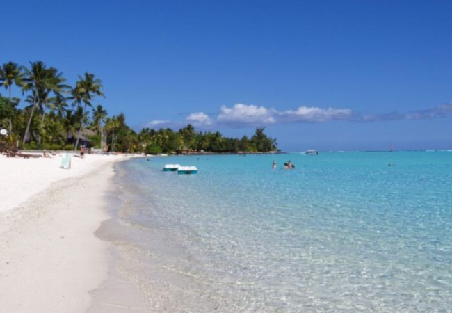 Studio in Nunue -  BORA-BORA Bora Horizon Lodge 3 Studio in Nunue -  BORA-BORA Bora Horizon Lodge 3