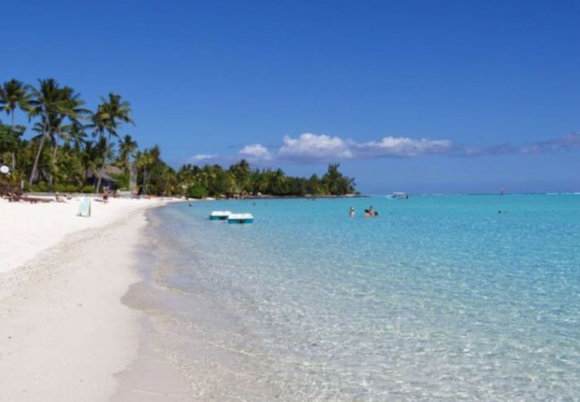 Studio in Nunue - BORA-BORA Bora Horizon Lodge 7 Studio in Nunue - BORA-BORA Bora Horizon Lodge 7