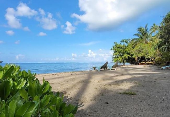 Rent by room in Opoa - RAIATEA-Chambre d'hôtes Oviri 2 - Kahaia Rent by room in Opoa - RAIATEA-Chambre d'hôtes Oviri 2 - Kahaia
