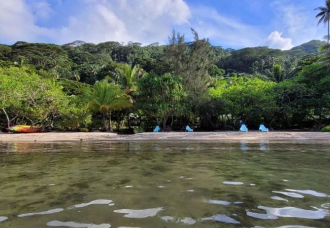 Rent by room in Opoa - RAIATEA-Chambre d'hôtes Oviri 2 - Kahaia Rent by room in Opoa - RAIATEA-Chambre d'hôtes Oviri 2 - Kahaia
