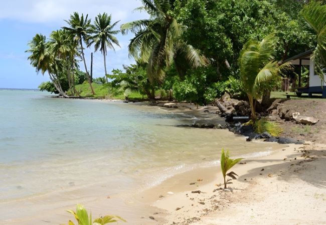House in Opoa - RAIATEA BEACH HOUSE 1  House in Opoa - RAIATEA BEACH HOUSE 1