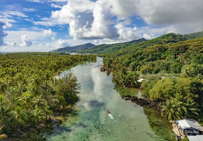 House in Fare - HUAHINE-Miki Miki Lodge House in Fare - HUAHINE-Miki Miki Lodge