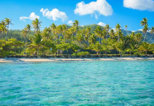 House in Fare - HUAHINE-Miki Miki Lodge House in Fare - HUAHINE-Miki Miki Lodge