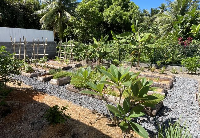 Studio in Avera - RAIATEA- Noanoa House 2 avec jacuzzi  Studio in Avera - RAIATEA- Noanoa House 2 avec jacuzzi