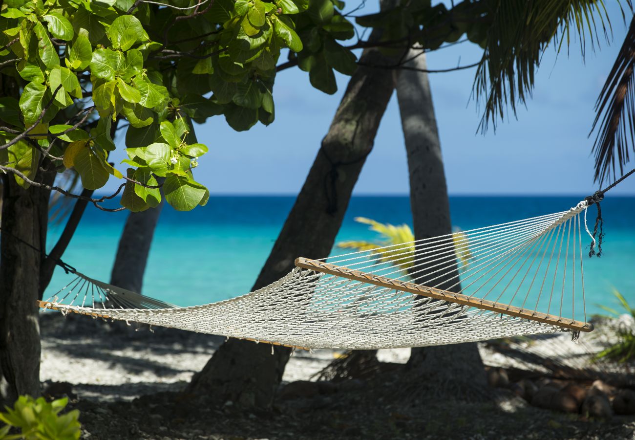 Villa in Tuherahera - TIKEHAU-Experience unique sur motu privé en pension complète  Villa in Tuherahera - TIKEHAU-Experience unique sur motu privé en pension complète