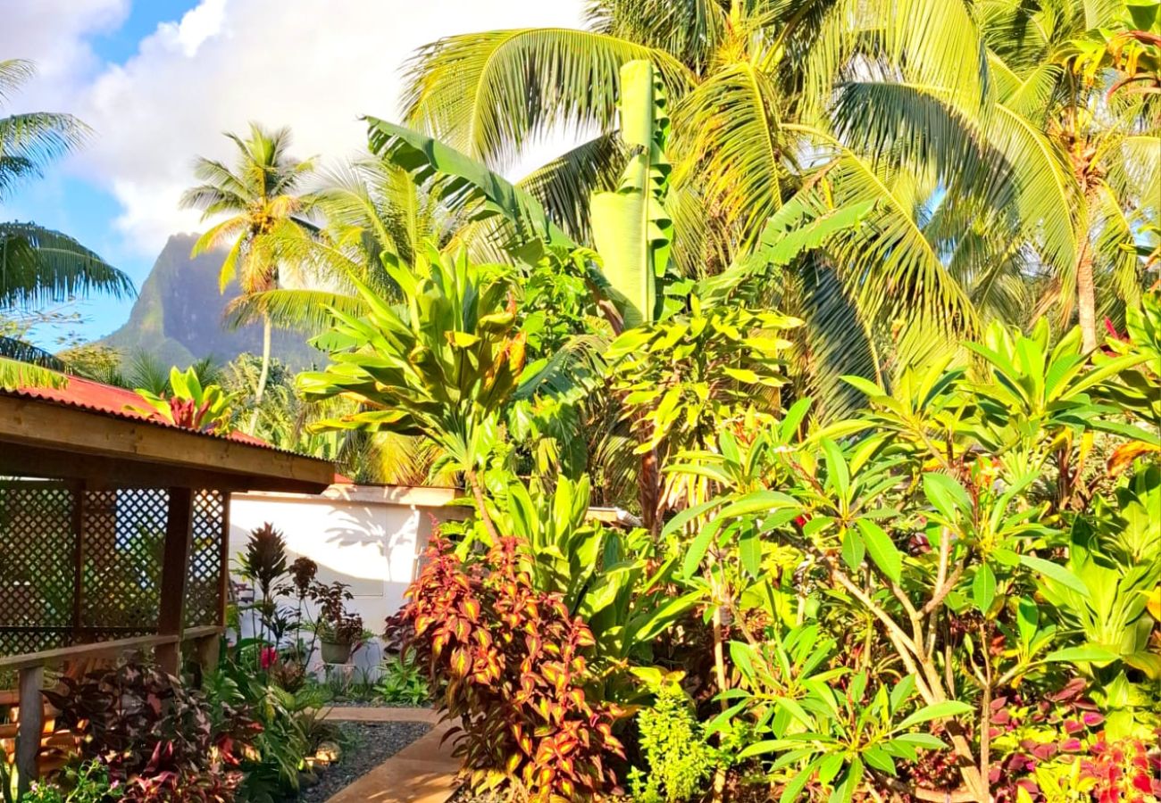 Bungalow in Vai'anae - MOOREA - Fare Tipanier